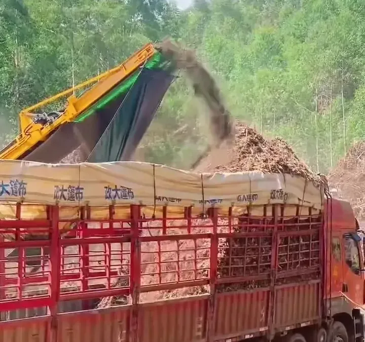 Logging Slash Grinding Yard Layout: A Site Planning Checklist