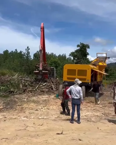 WeiDong wood grinding equipment